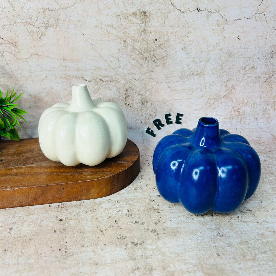 Pumpkin Vase - Buy White Pumpkin  Get Blue Pumpkin Vase FREE